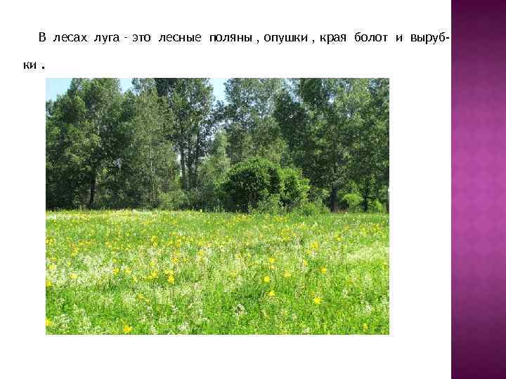 Страница 128-133 гдз по окружающему миру 4 класс плешаков, крючкова, учебник 1 часть 2023
