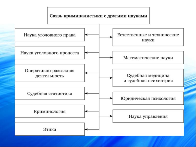 Топ-4 основных предмета криминологии 2024 г.