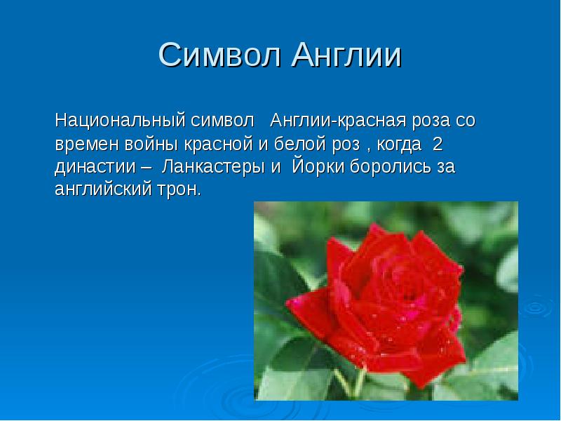 Символы великобритании