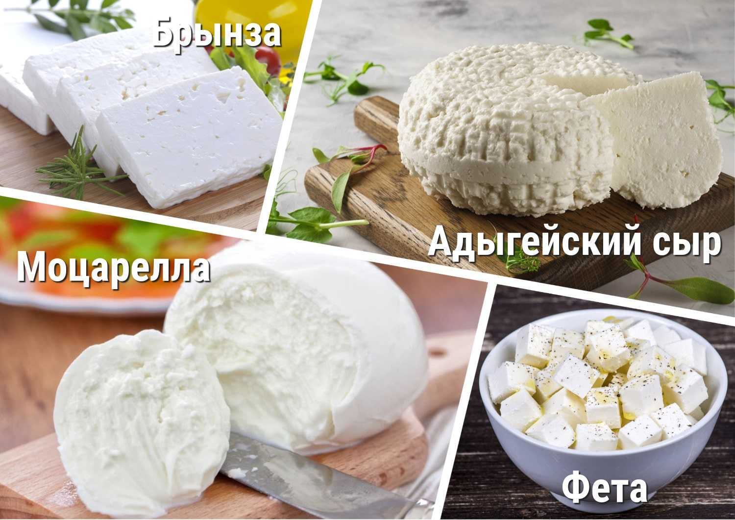 Разница между брынзой и сыром