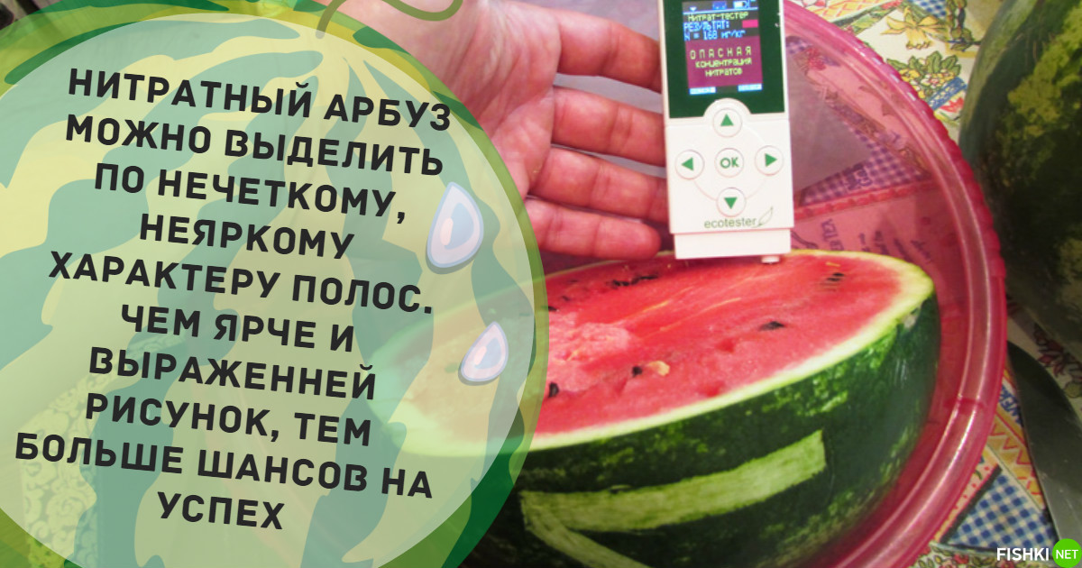 Как проверить арбуз в воде. Нитратный Арбуз. Нитраты в арбузе. Как выглядит Арбуз с нитратами. Как определить нитраты в арбузе.
