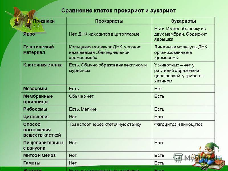 Отличительная особенность прокариот. Сравнительная таблица сравнение клеток прокариот и эукариот. Клетка Прокариотическая и эукариотическая сравнение. Эукариотическая и Прокариотическая клетка таблица сравнение. Сравнение прокариотической и эукариотической клетки.