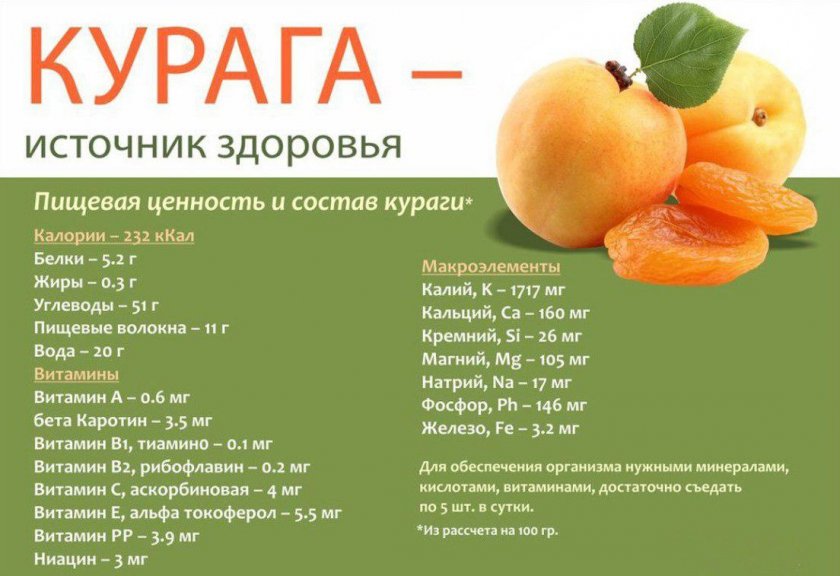 Курага: польза и вред дл организма, применение, противопоказания, рецепты и прочее + отзывы