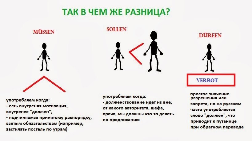 § 36. вид — биологическая система. критерии вида: критерии вида