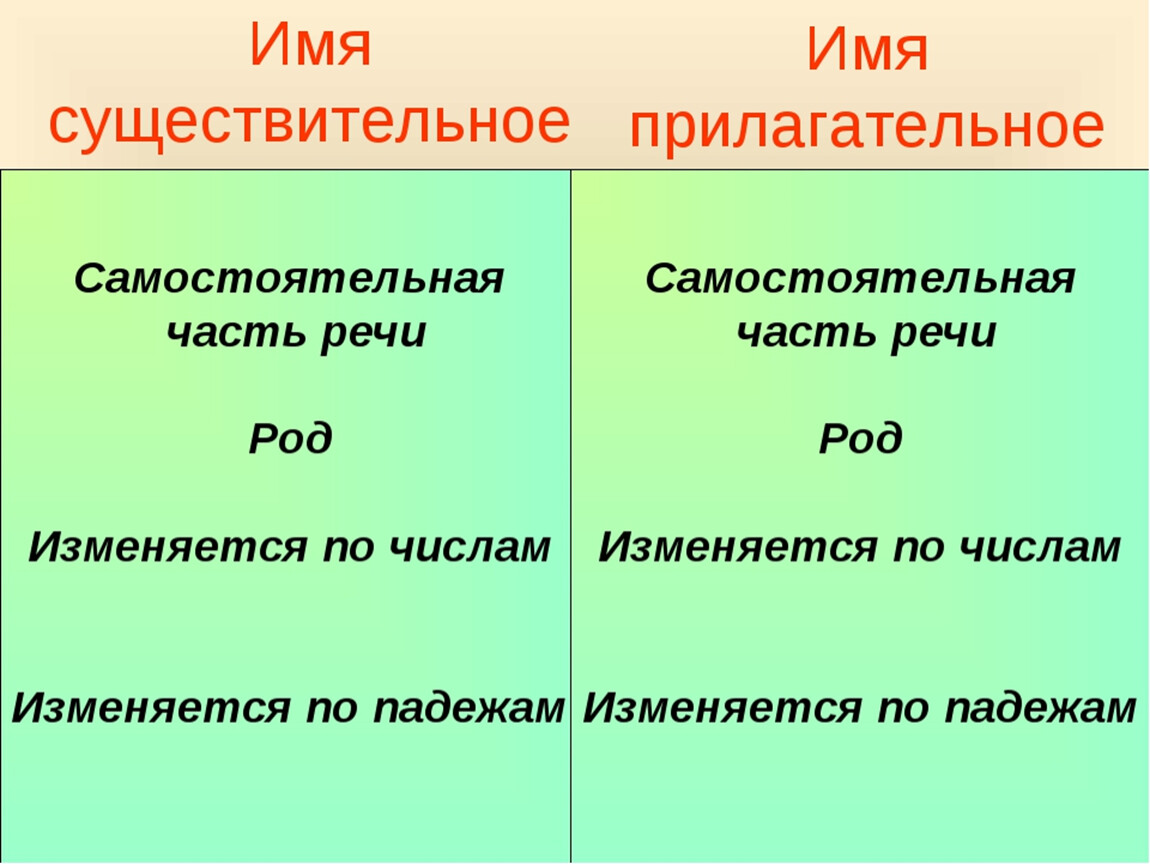 Что такое имена существительные и имена прилагательные: объяснение и примеры