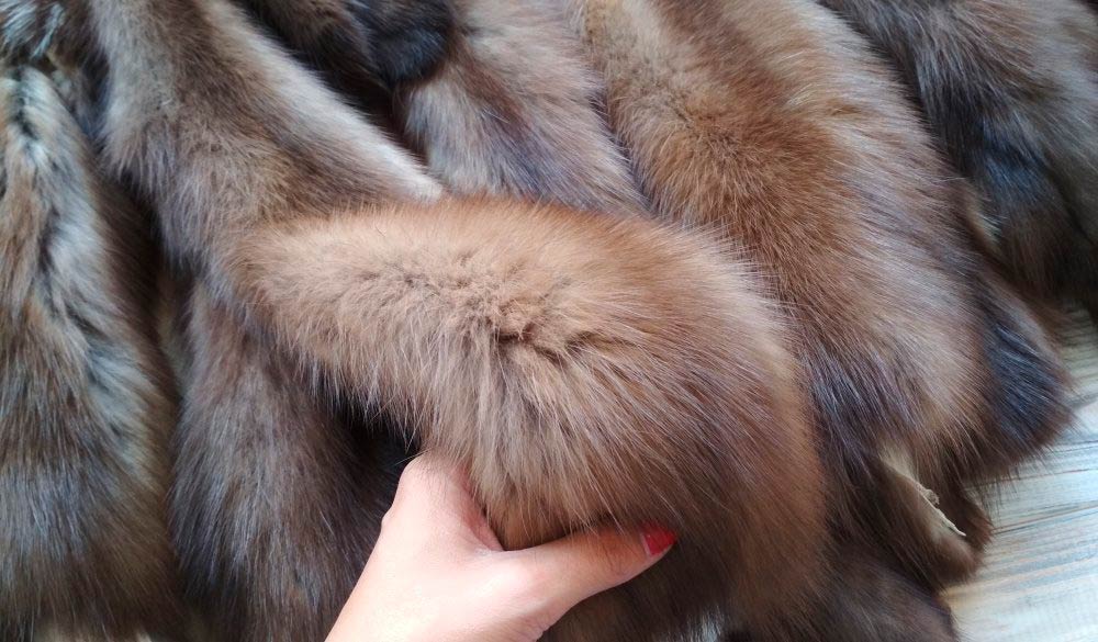 Мех куницы и соболя: разница, особенности, преимущества
