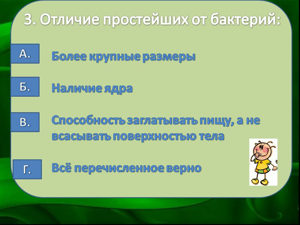 Разница между бактериями и простейшими