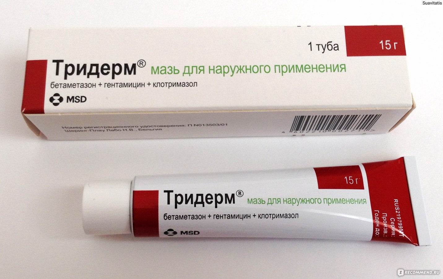 Какие основные различия существуют между кремом и мазью тридерм? - protipsgig.ru