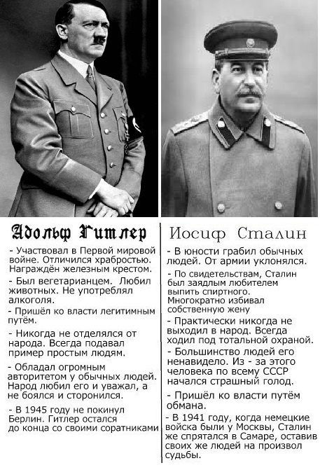 Почему гитлер проводил холокост?