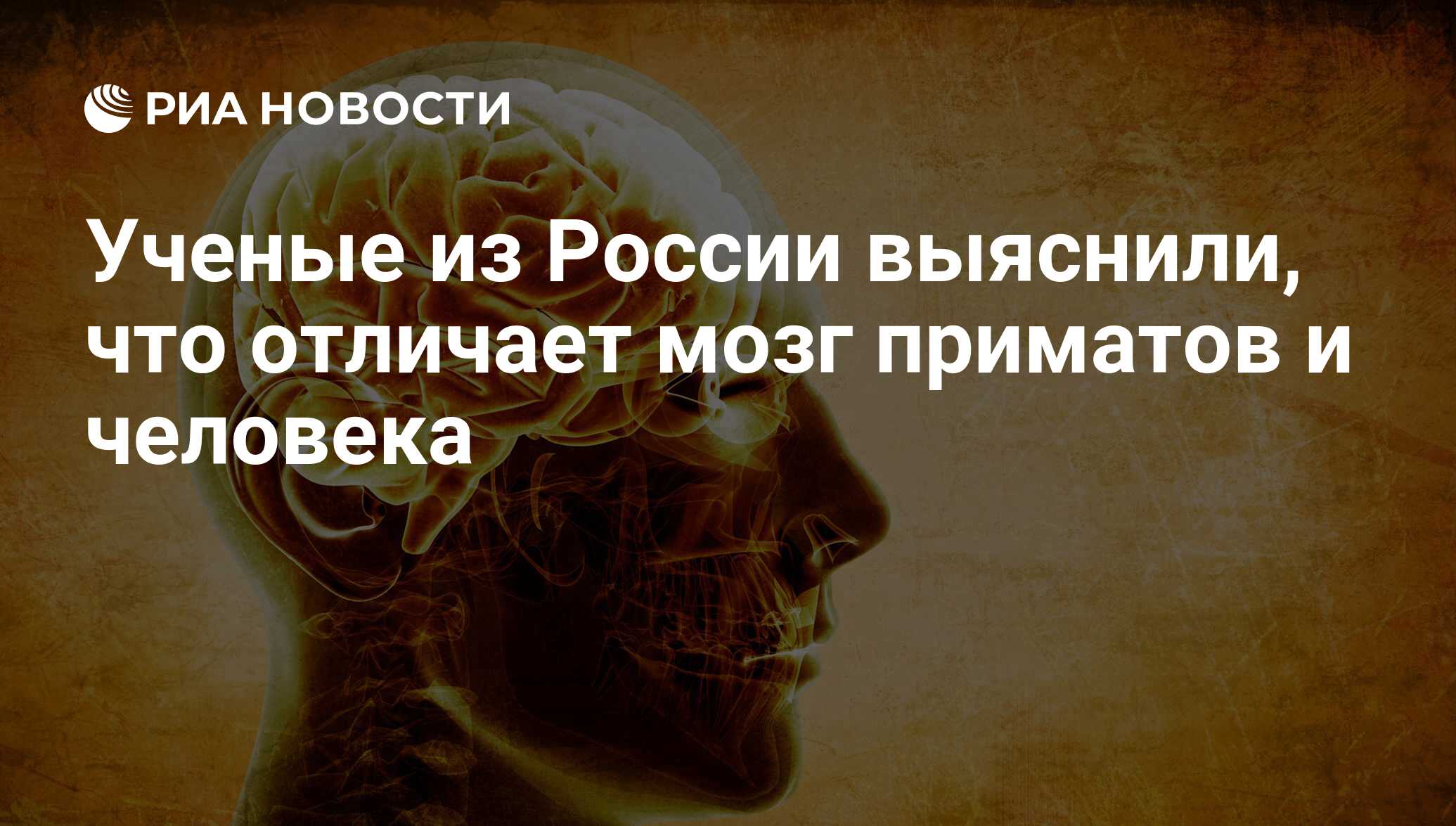 Чем человек отличается от компьютера?