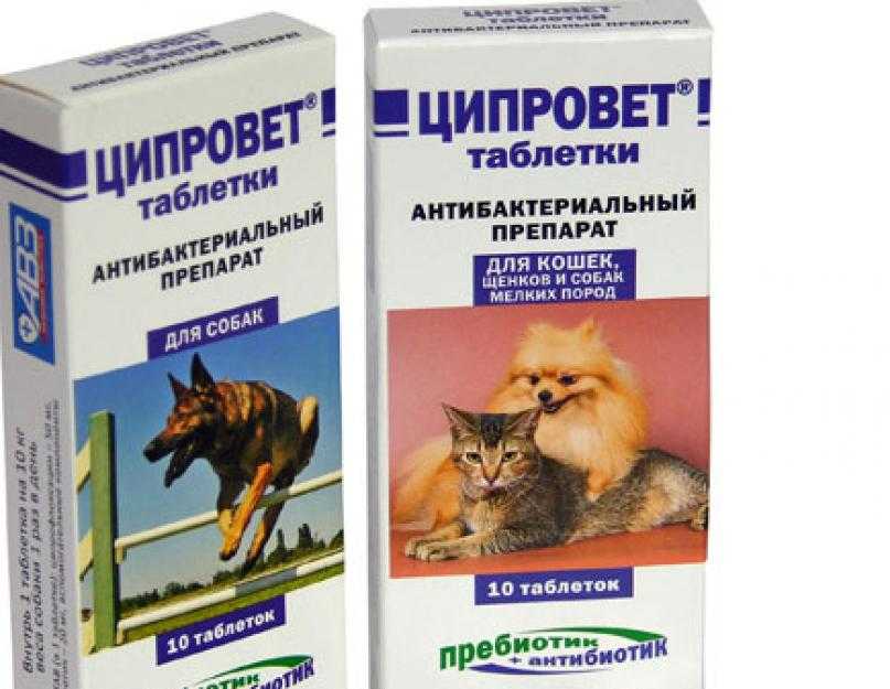 Ципрофлоксацин и Ципролет: в чем разница между ними