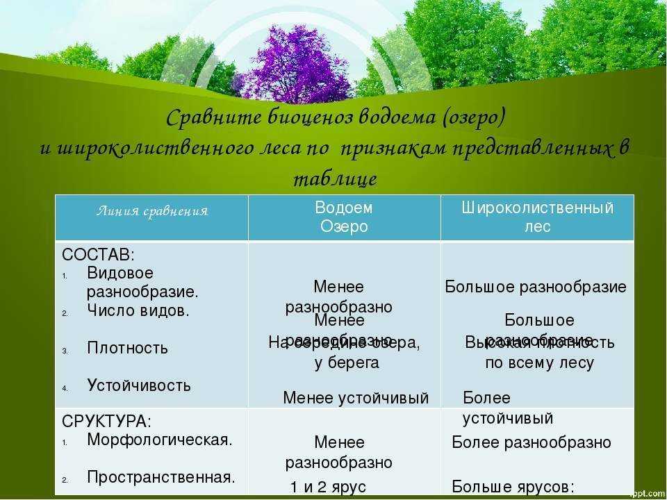 Пруд: определение и характеристики, отличие от озера, происхождение, разновидности, роль в экосистеме, экологические проблемы