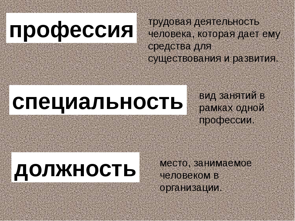 Специальность и квалификация: в чём разница