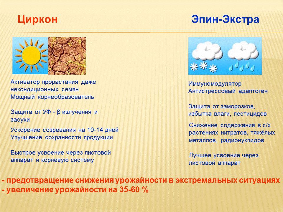 Стимуляторы для фиалок | клуб любителей фиалок