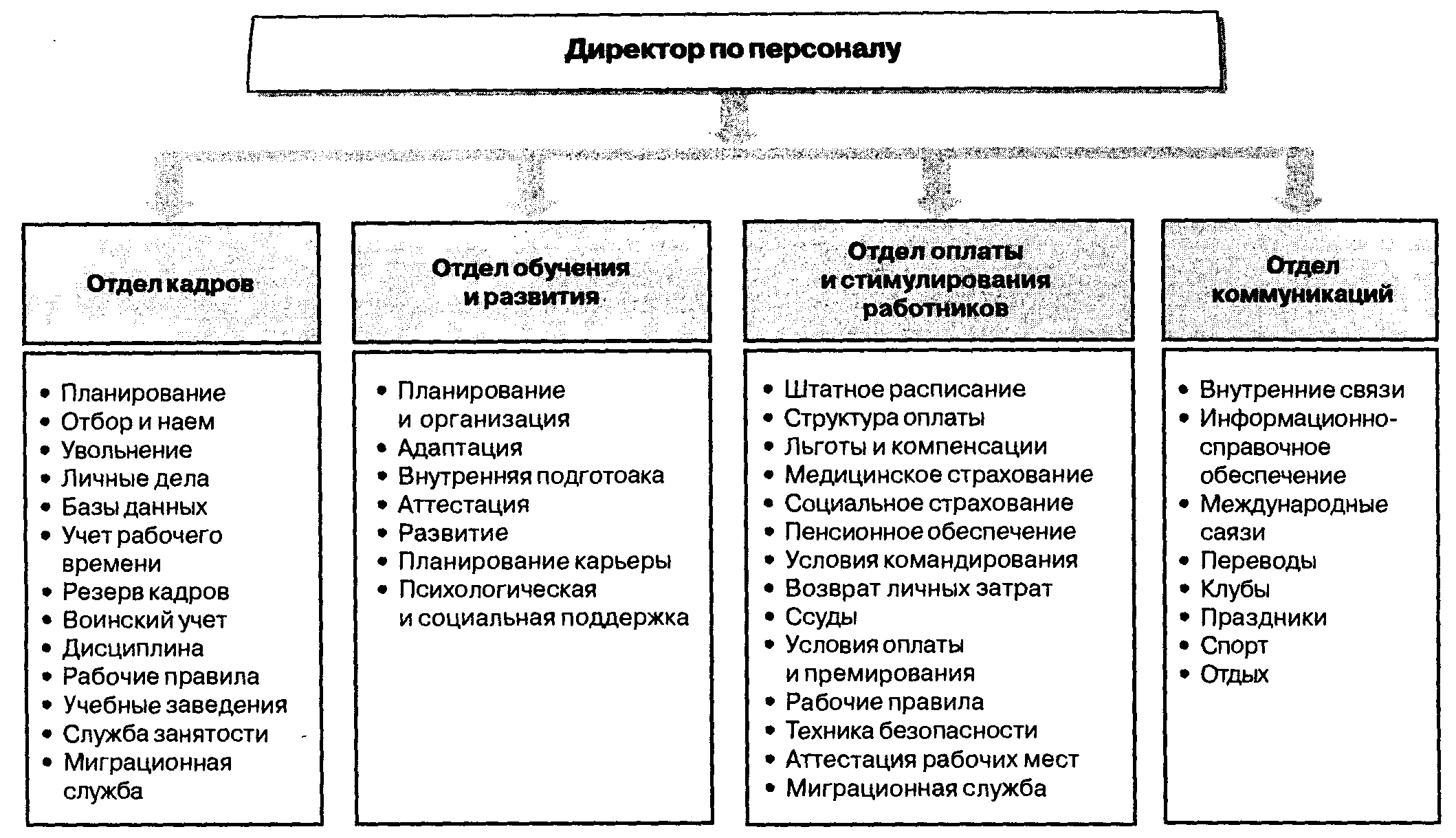 Чем департамент отличается от управления — основные отличия | в чем разница