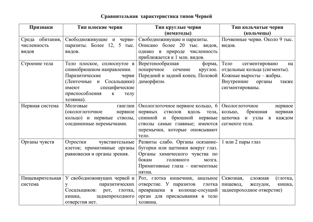 Чем кольчатые черви отличаются от круглых червей