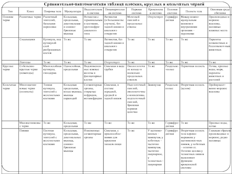 Лекция 3. тип плоские черви (plathelminthes)