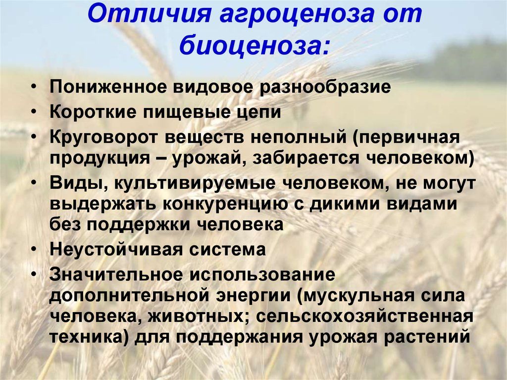 Экосистема, ее компоненты. цепи питания. разнообразие и развитие экосистем. агроэкосистемы. | егэ по биологии, подготовка от экзамера