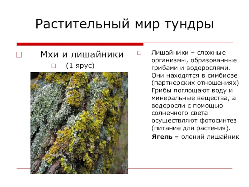 Биология