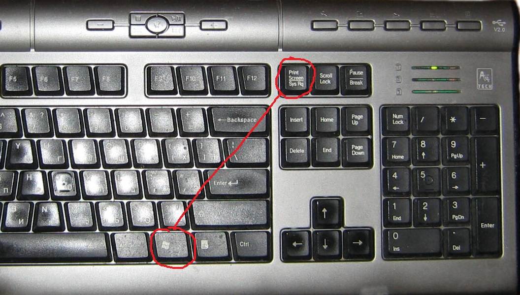 Как сделать скриншот на компьютере в windows
