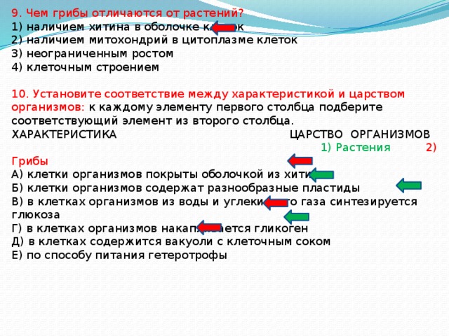 Сходства и различия между грибами и растениями: что их объединяет и отличает?