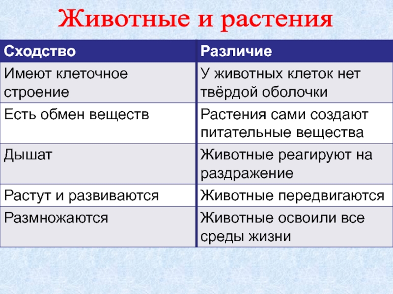 Основные различия растений и животных