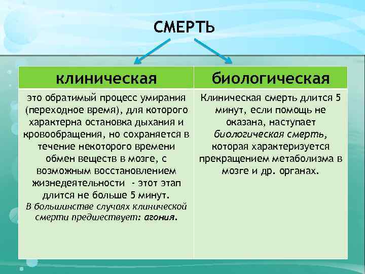 Чем отличается состояние комы от обморочного состояния: тесты и симптомы