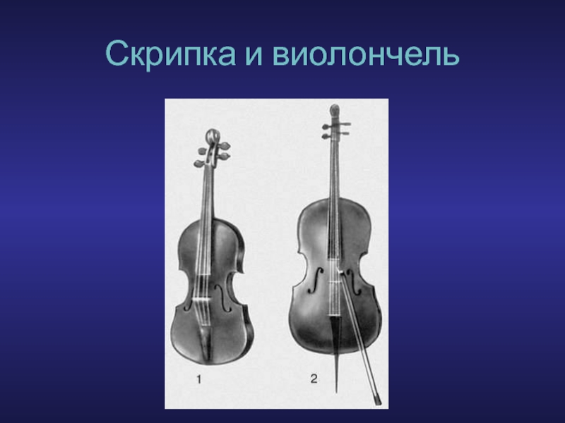Сравнение скрипки и виолончели: разница и особенности инструментов