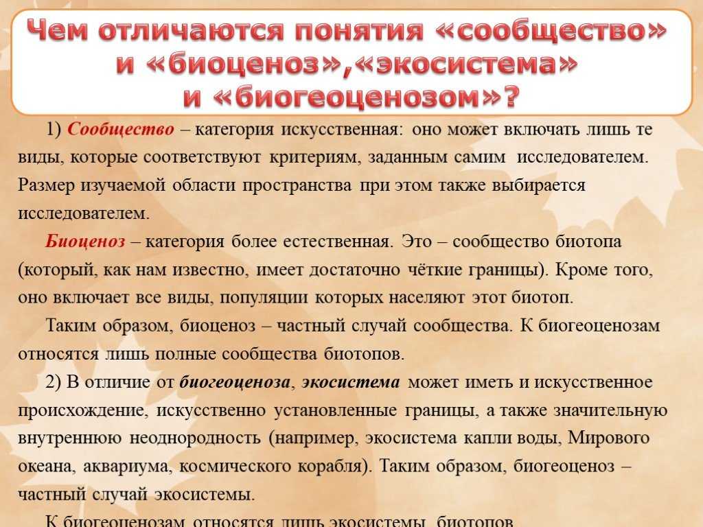 Биогеоценоз: что это, структура, компоненты, характеристика, функции, схема