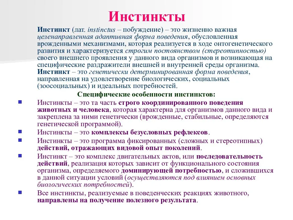 Рефлексы и инстинкты