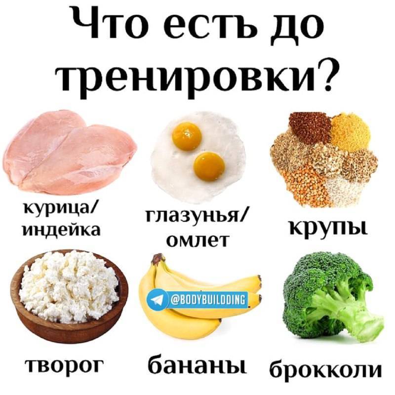 Что есть перед тренировкой — когда, зачем и почему