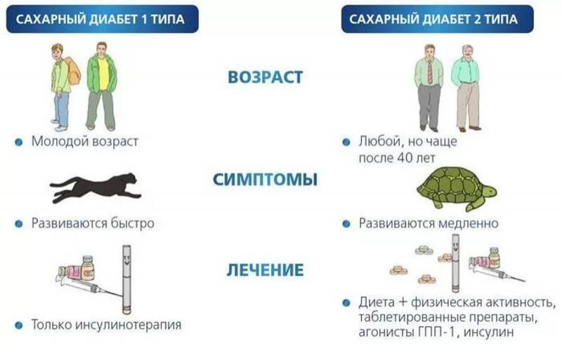 Разница между 1 и 2 типом сахарного диабета, отличия и чем они страшны | о диабете