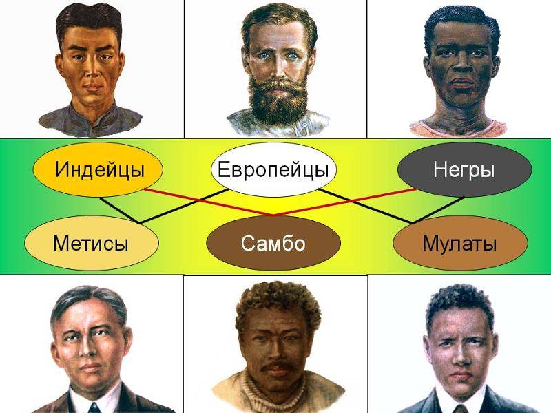 Чем отличается метис от мулата