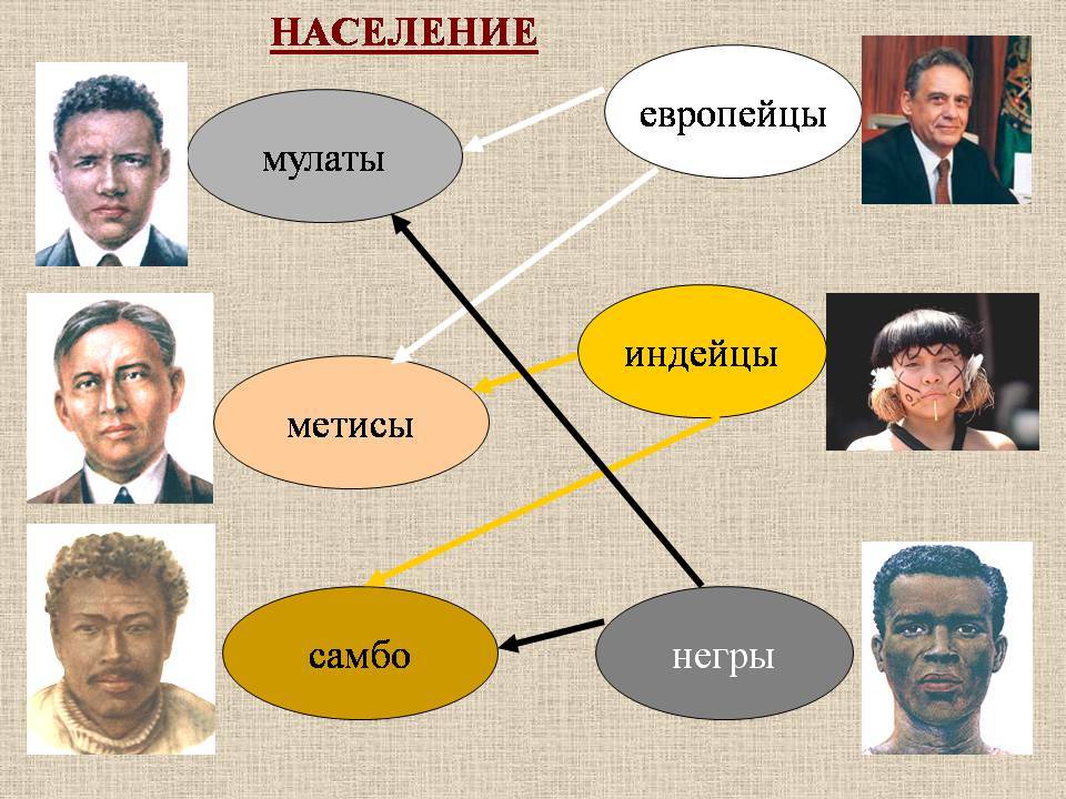 Чем отличается мулат от метиса и креола: сравнение и объяснение