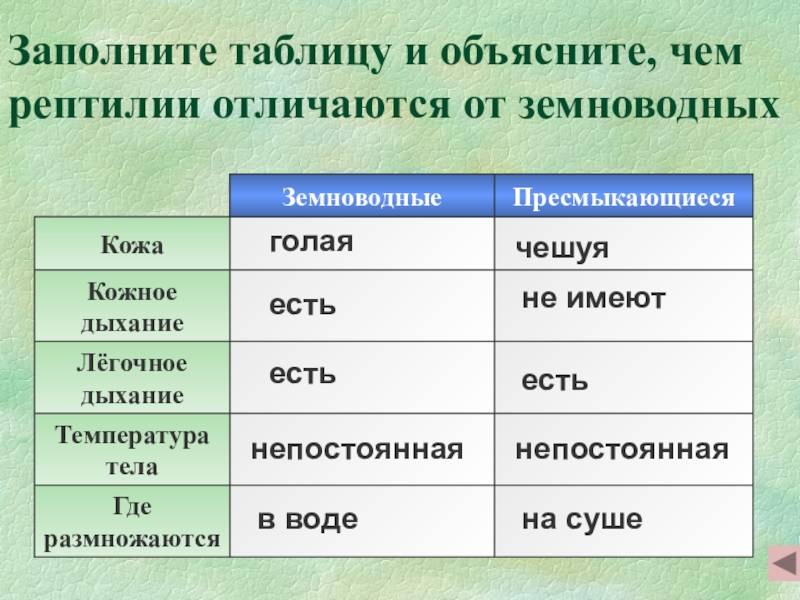 Урок 14: пресмыкающиеся - 100urokov.ru