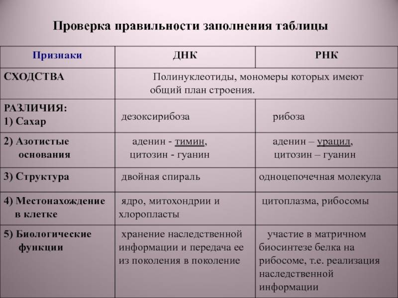 Microbiology note – online biology notes
