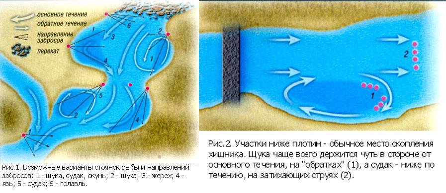 Как найти стоянку рыбы летом - выбор места, участка летней рыбалки