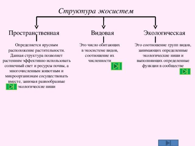 Биогеоценоз и экосистема – что это такое и отличия