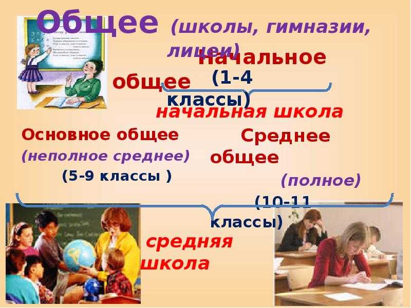 Что выше гимназия или лицей по статусу. отличия в преподавании