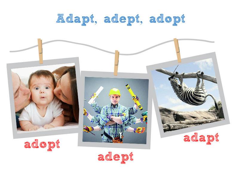 Adapt or adopt? what's the difference between 'adapt' and 'adopt'?  | grammar giant
