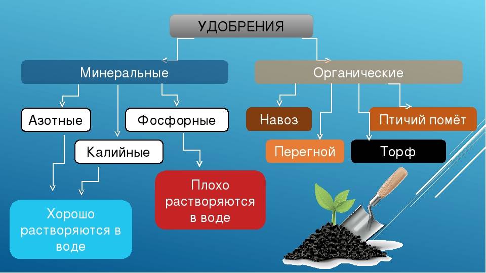 Химическое удобрение против органического удобрения - разница и сравнение - blogul 2024