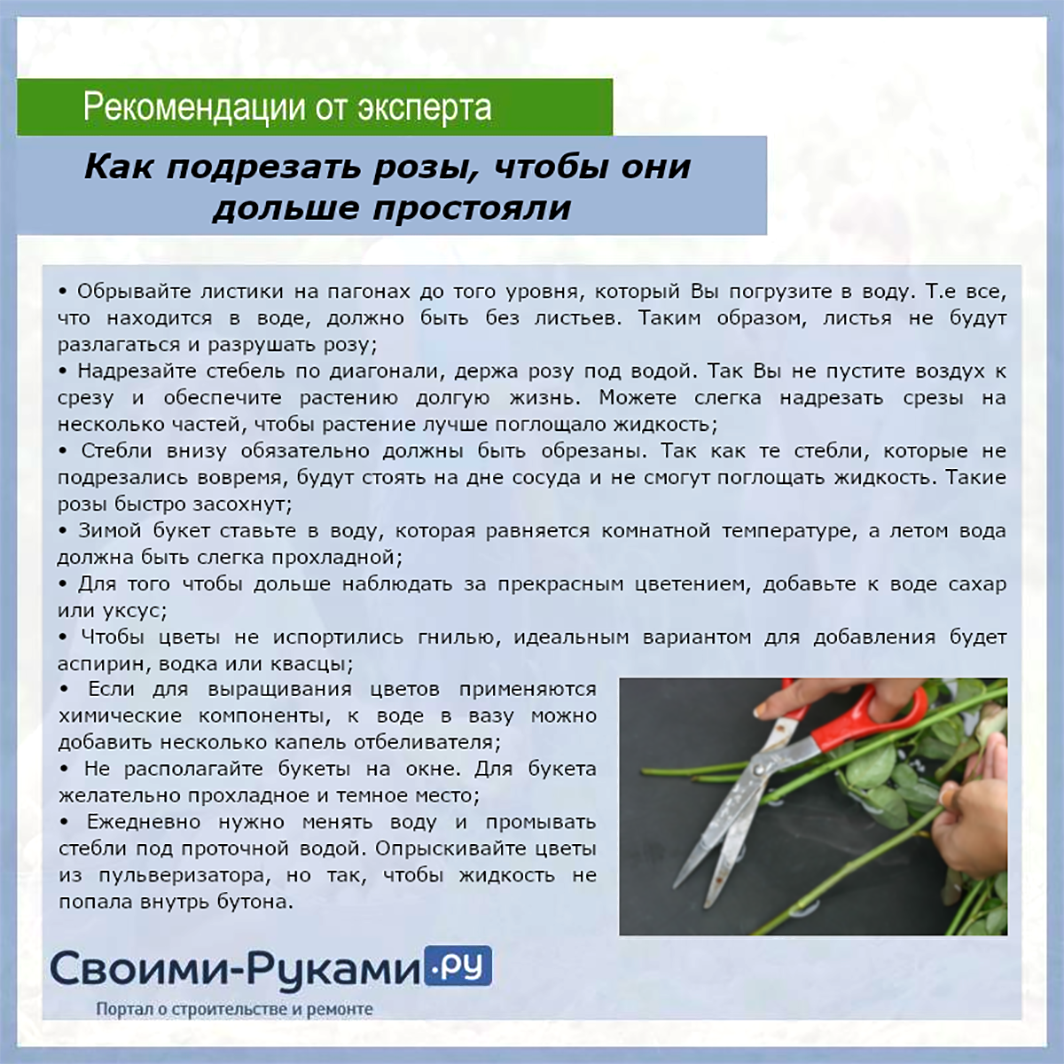 Что добавить в воду с розам, чтобы дольше стояли