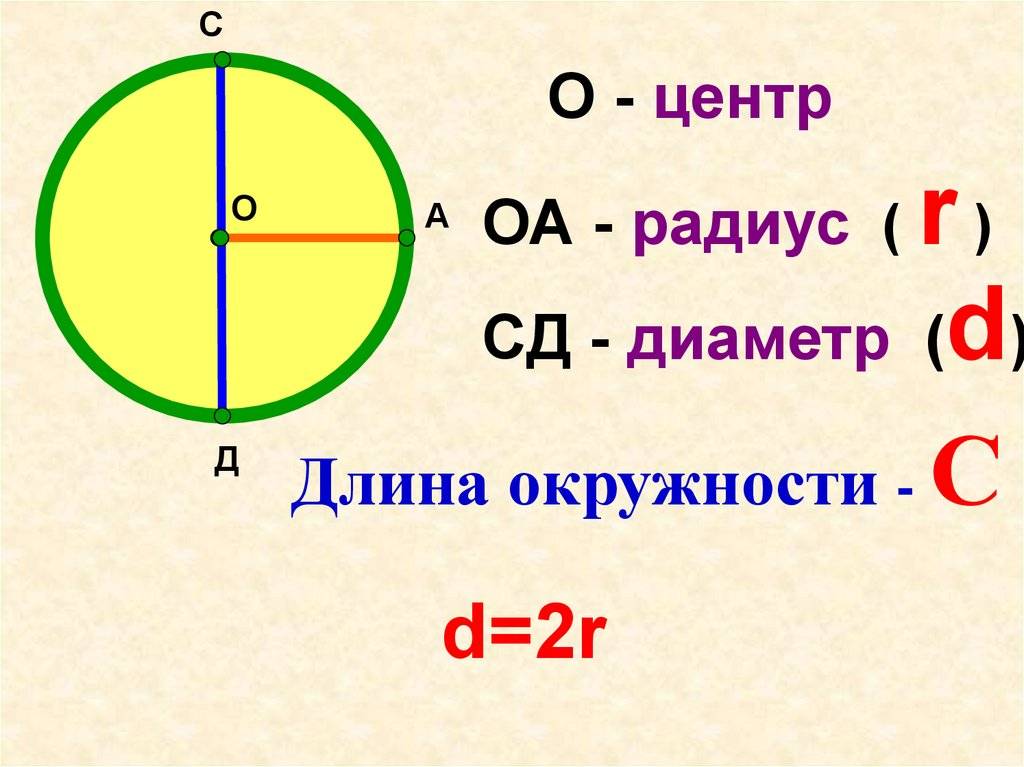 Окружность и круг: определение, названия частей | 5 класс