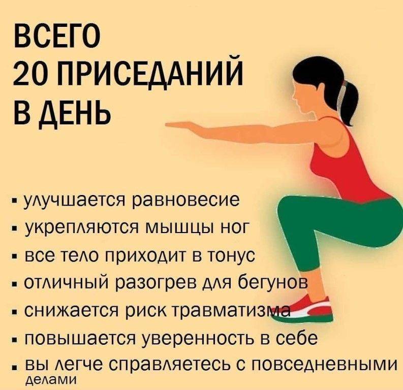 Вся правда о приседаниях со штангой - о чем вы догадывались, но стеснялись спросить