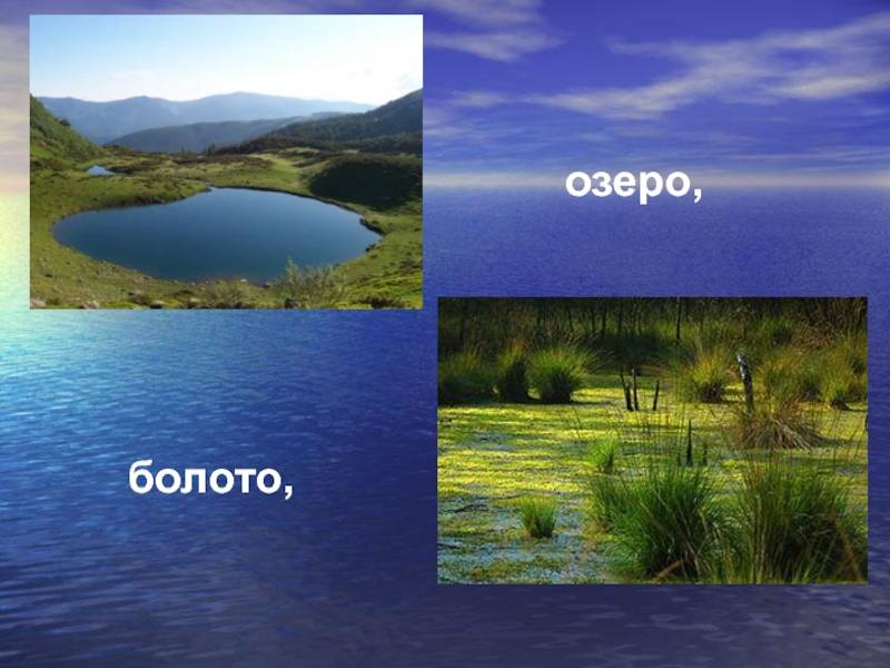 Озера, водохранилища, болота 8 класс онлайн-подготовка на ростелеком лицей | тренажеры и разбор заданий