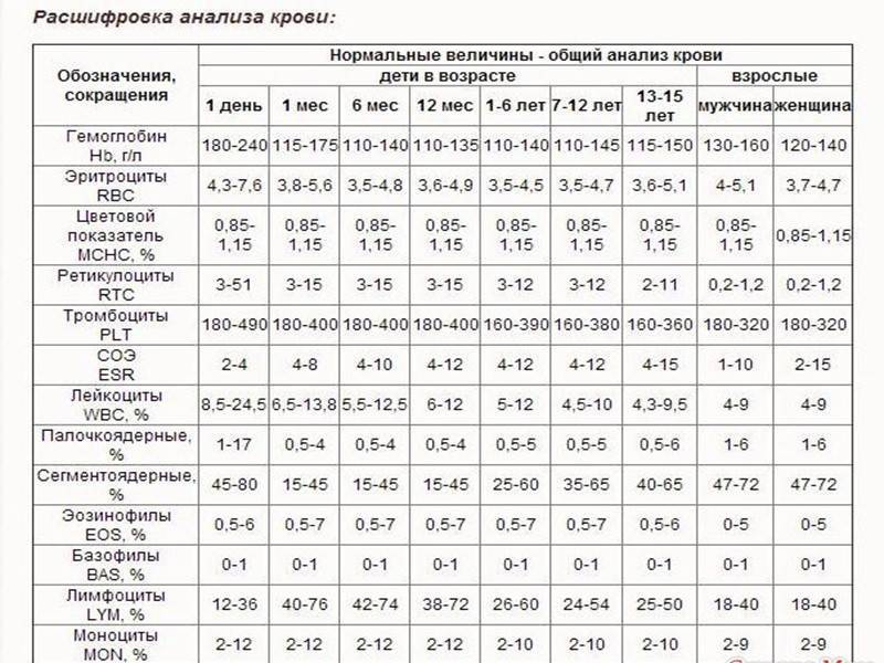 Виды и значения анализов крови