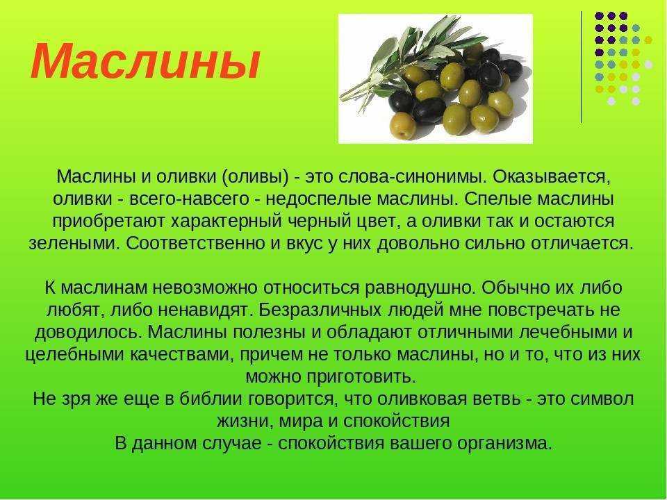 Чем отличаются черные оливки от зеленых,как выбрать настоящие оливки