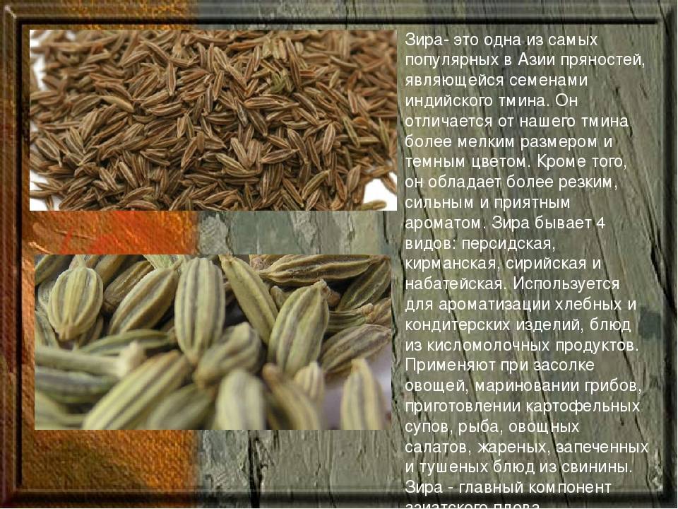 Кумин, он же зира. ценный источник железа в организме и приправа, без которой никогда не приготовить вкусный плов — статья на тчк