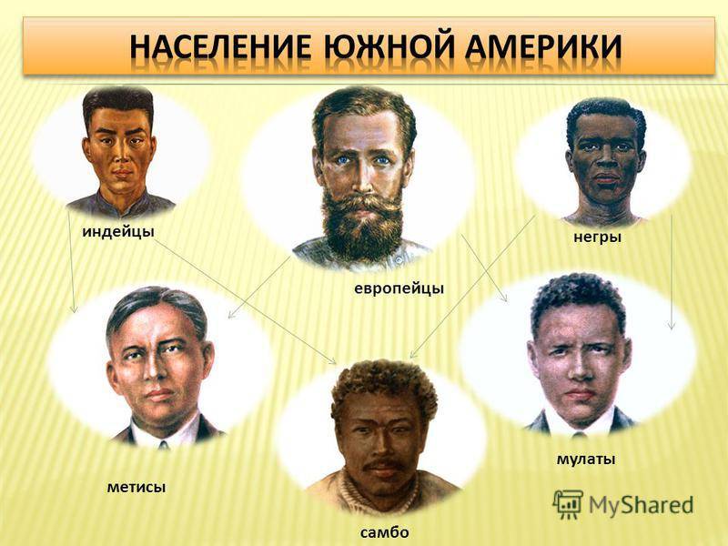 Разница между метисом и мулатом