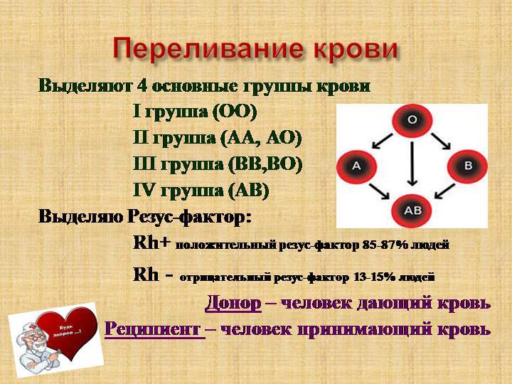 Группы крови